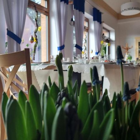 Zakatek Reja Apartment Kartuzy Ngoại thất bức ảnh